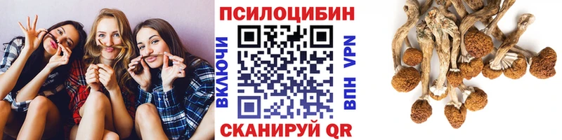 Галлюциногенные грибы Magic Shrooms OMG ССЫЛКА Старый Оскол