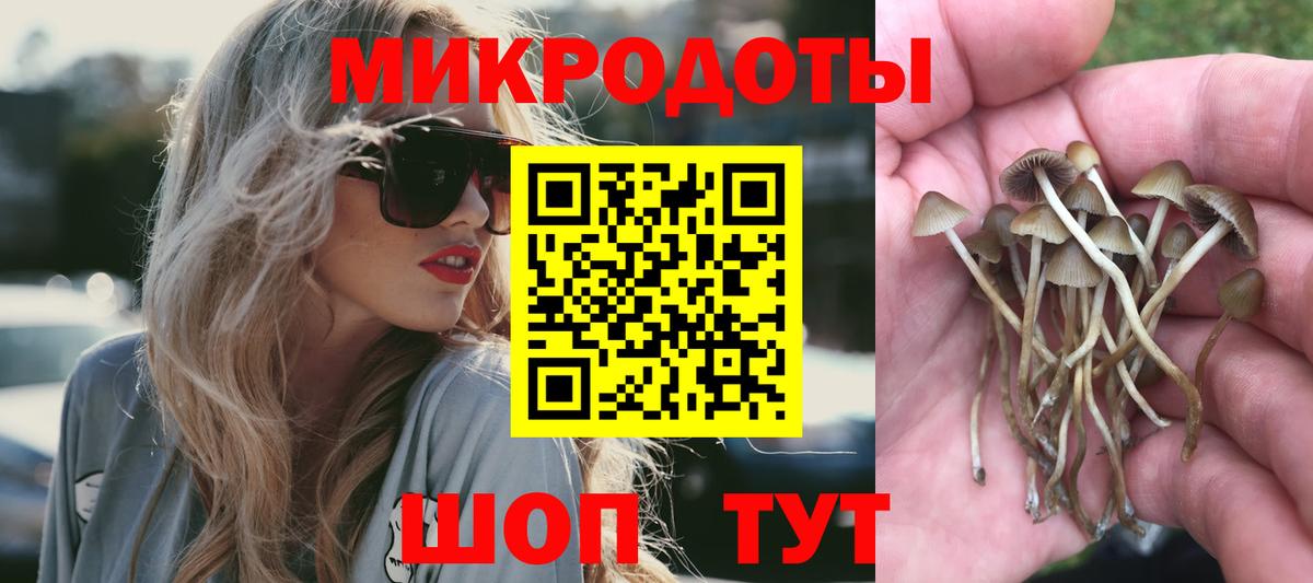 Псилоцибиновые грибы прущие грибы Старый Оскол