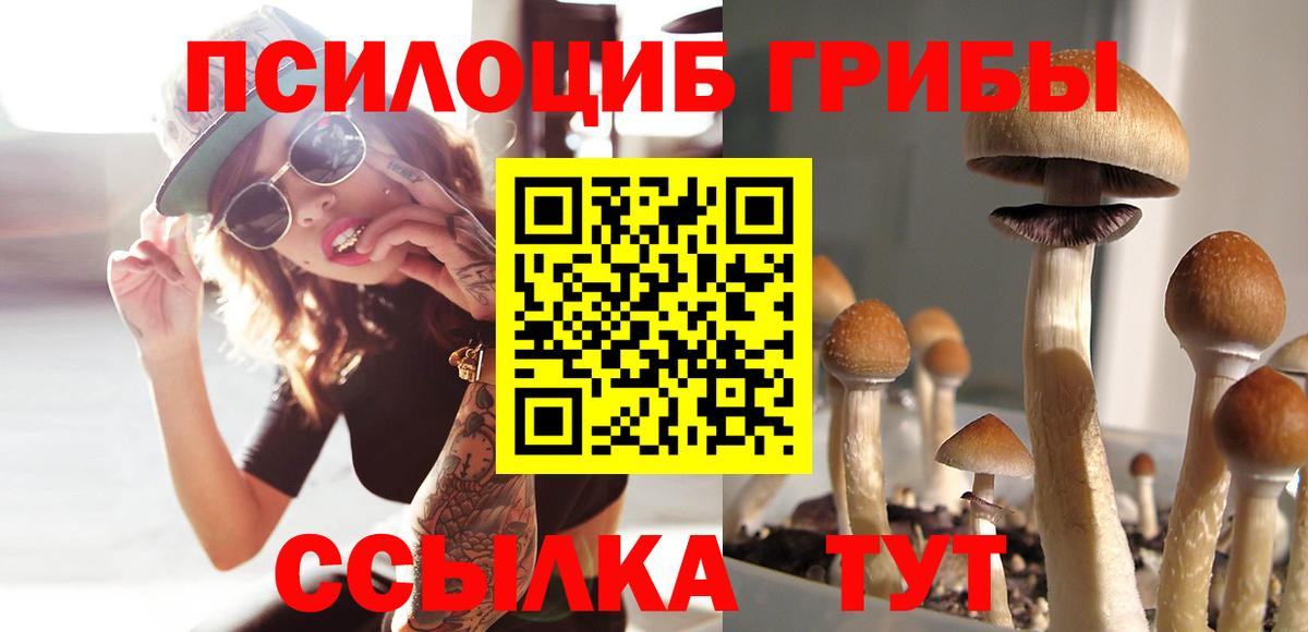 Псилоцибиновые грибы Magic Shrooms  Галлюциногенные грибы GOLDEN TEACHER  Старый Оскол  где купить   Вход с VPN 
